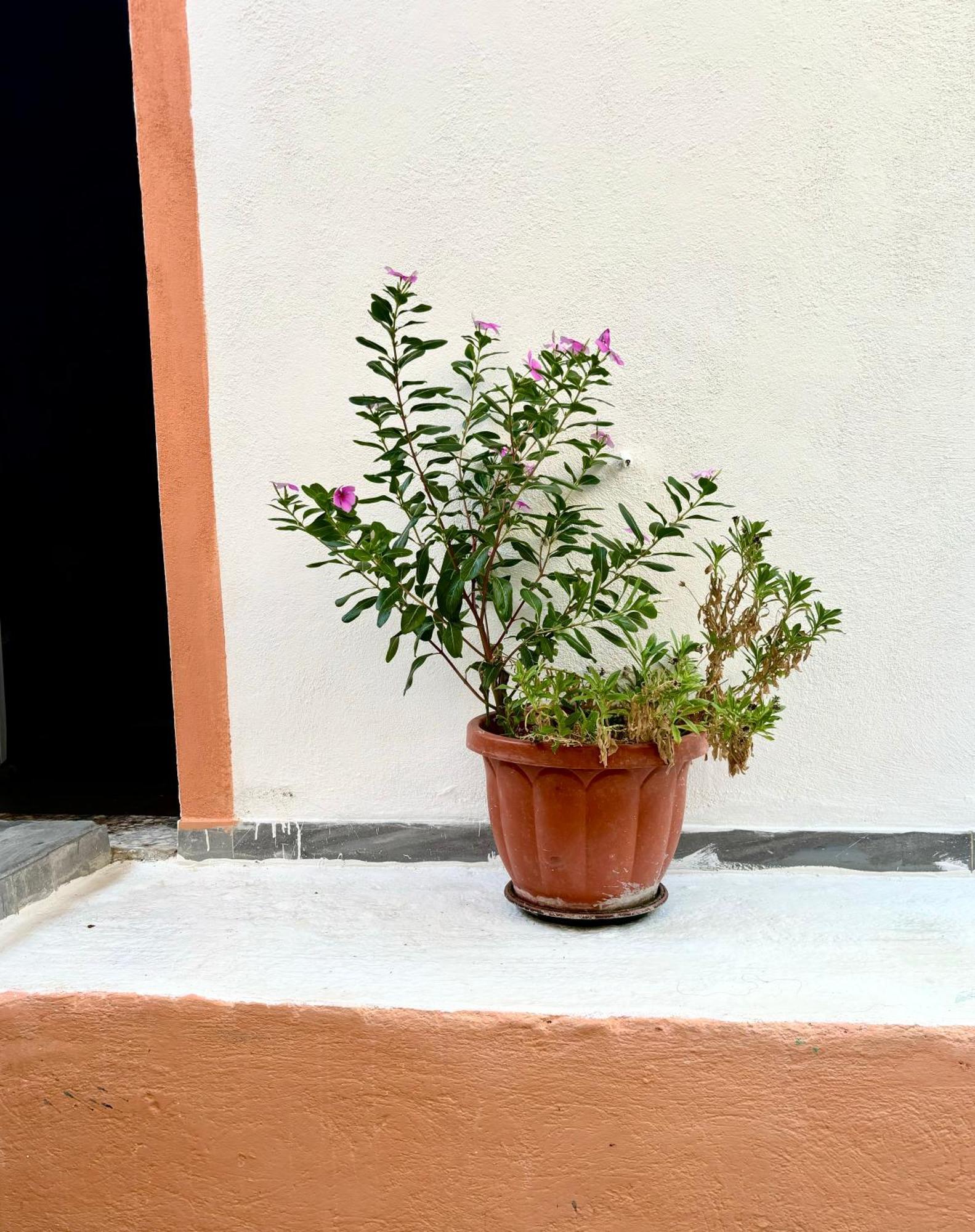 Appartement Traditional Corfiot House Perivólion