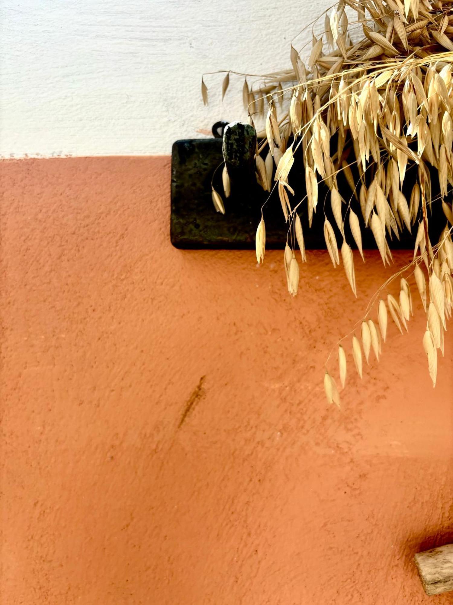 Appartement Traditional Corfiot House